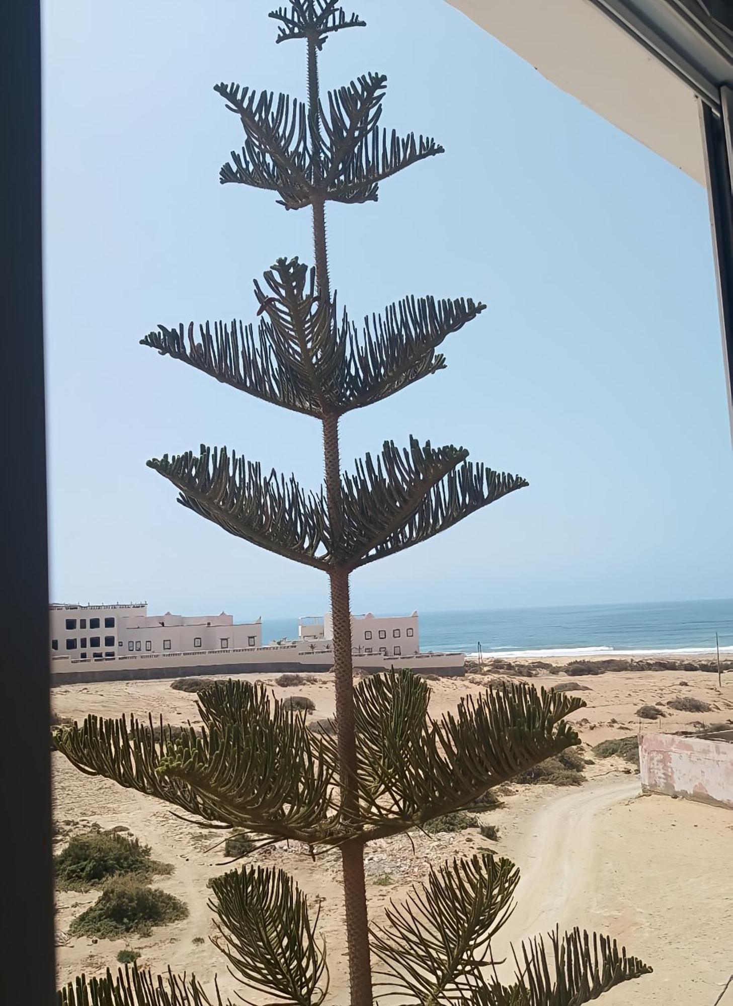 Tildi Surf House Hotell Imsouane Exteriör bild